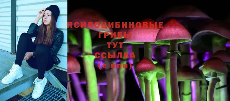 наркотики  Волгореченск  ссылка на мегу онион  Галлюциногенные грибы Cubensis 